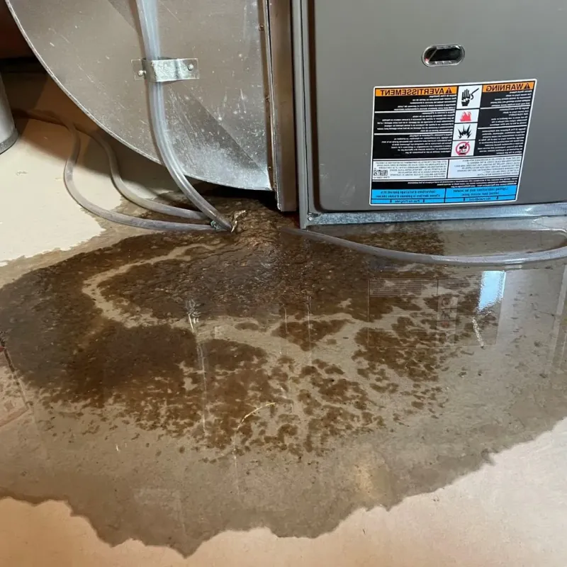 Pipe Burst and Leak Restoration in Fanwood, NJ
